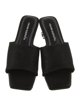 Nicole Saldana Slides