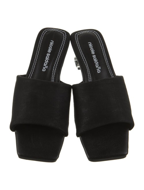 Nicole Saldana Slides