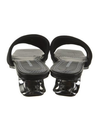 Nicole Saldana Slides