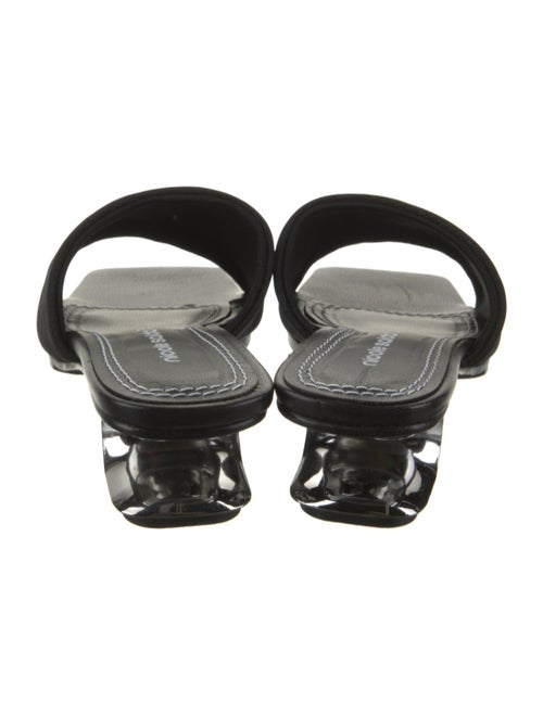 Nicole Saldana Slides