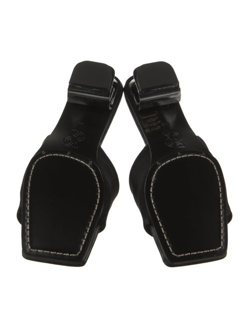 Nicole Saldana Slides