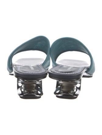 Nicole Saldana Mesh Slides