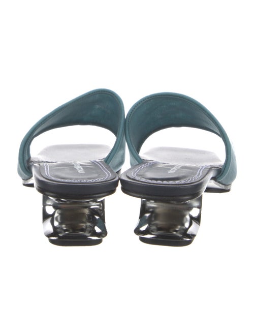 Nicole Saldana Mesh Slides