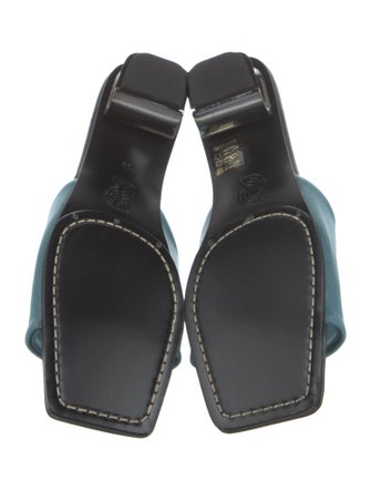 Nicole Saldana Mesh Slides