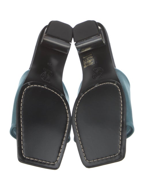 Nicole Saldana Mesh Slides