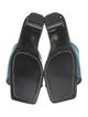 Nicole Saldana Mesh Slides