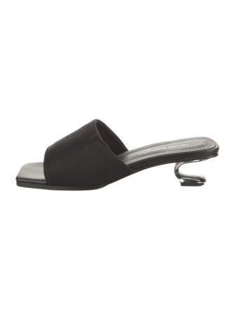 Nicole Saldana Mesh Slides