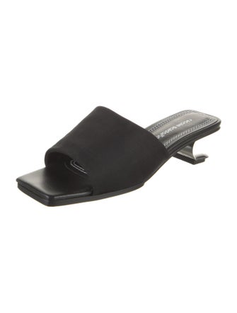 Nicole Saldana Mesh Slides