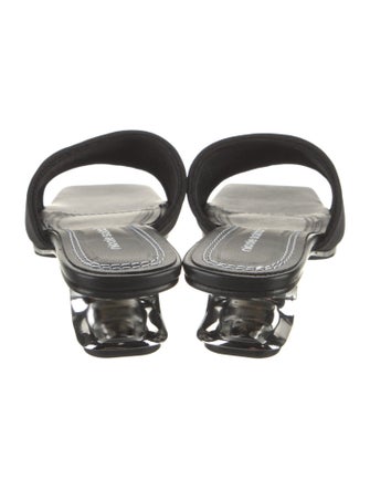 Nicole Saldana Mesh Slides