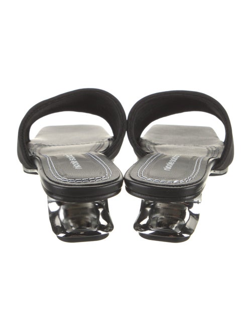 Nicole Saldana Mesh Slides