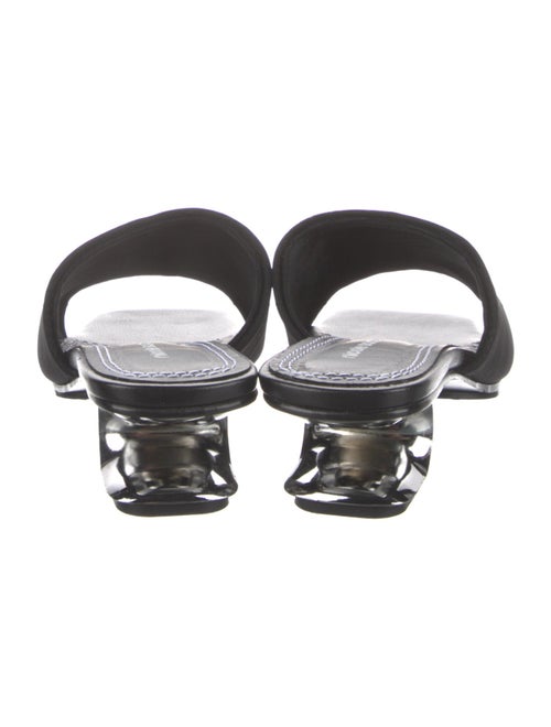 Nicole Saldana Printed Slides