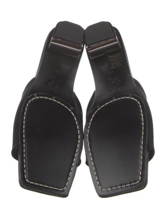 Nicole Saldana Printed Slides