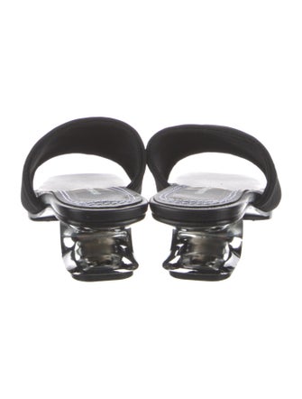 Nicole Saldana Mesh Slides