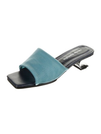 Nicole Saldana Mesh Slides