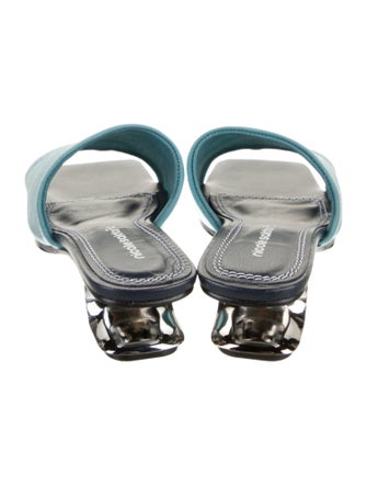 Nicole Saldana Mesh Slides