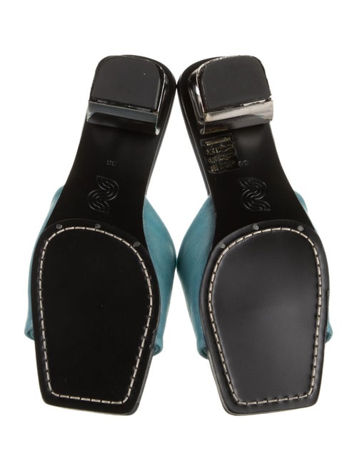 Nicole Saldana Mesh Slides