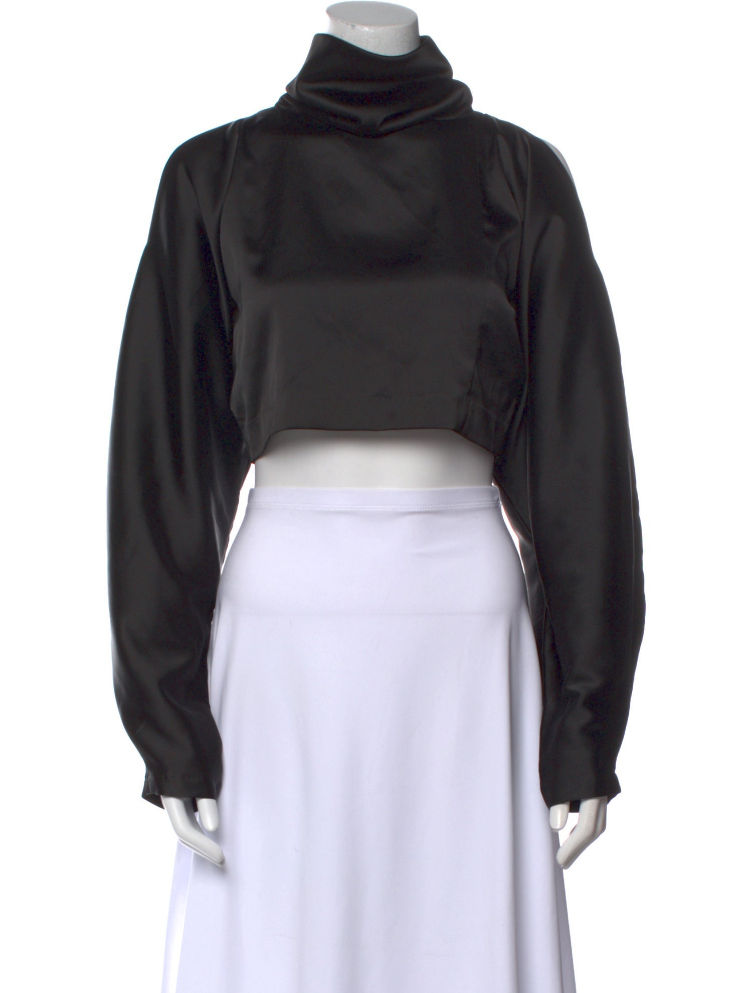 Nonchalant Turtleneck Long Sleeve Crop Top