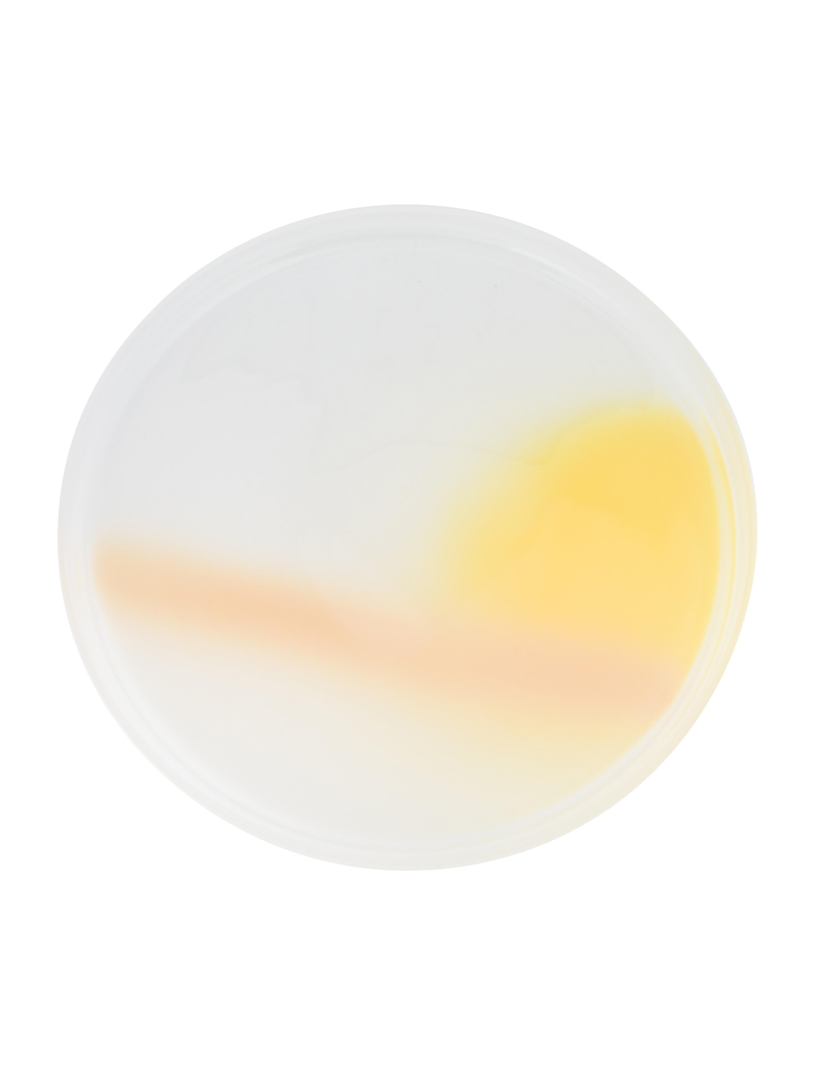 Nude Glass: The Ultimate Guide To Modern Glass - 7yj3ybd