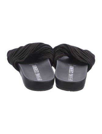 Opening Ceremony Slides