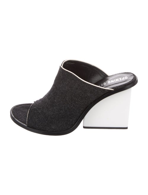 Opening Ceremony Slides