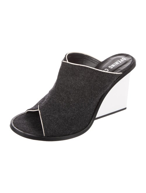 Opening Ceremony Slides