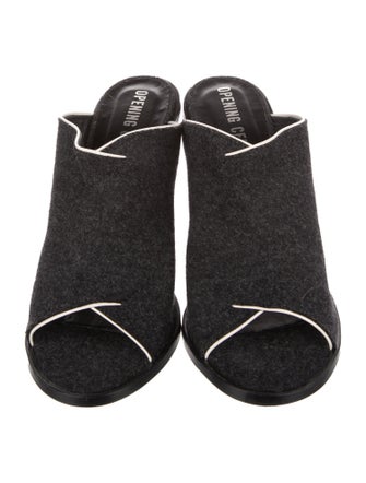 Opening Ceremony Slides