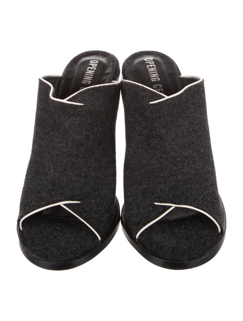 Opening Ceremony Slides