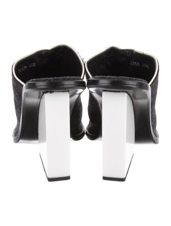 Opening Ceremony Slides