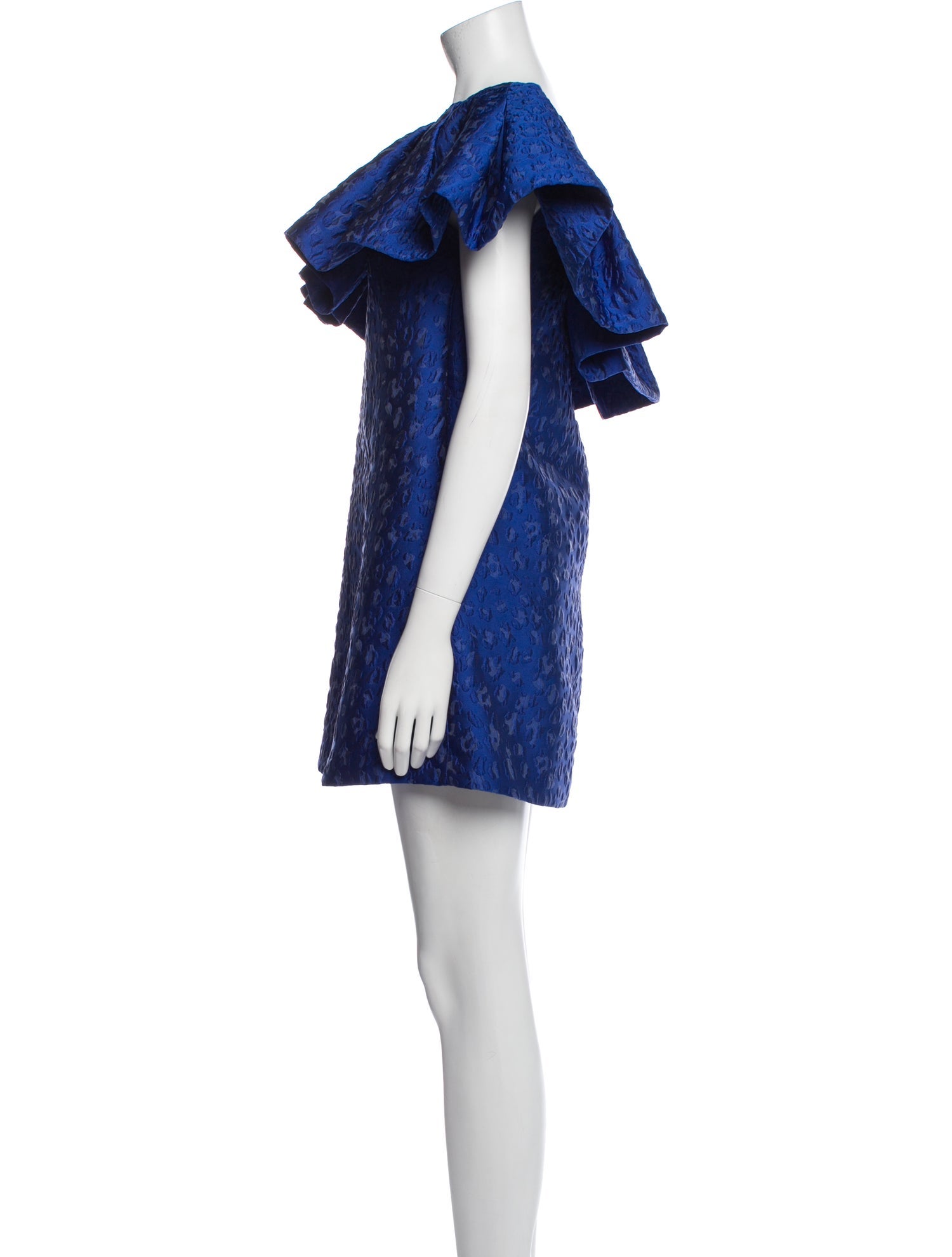 P.A.R.O.S.H. Printed Mini Dress