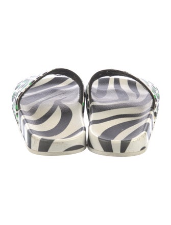 P448 Rubber Printed Slides