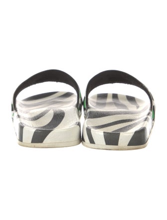 P448 Rubber Printed Slides