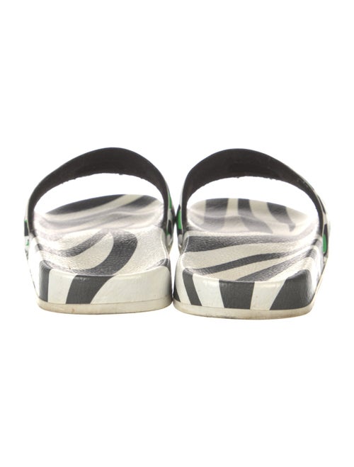 P448 Rubber Printed Slides