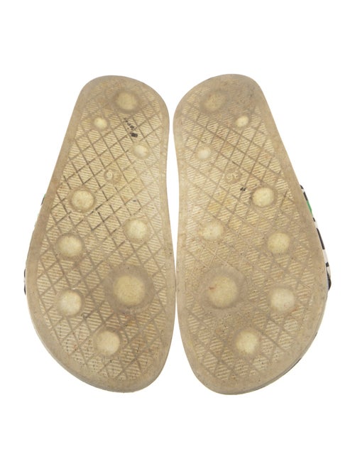 P448 Rubber Printed Slides