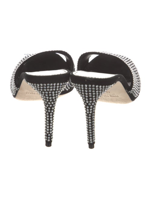 Paris Texas Crystal Printed Slides