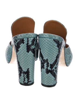 Paris Texas Leather Animal Print Slides