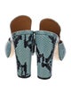 Paris Texas Leather Animal Print Slides