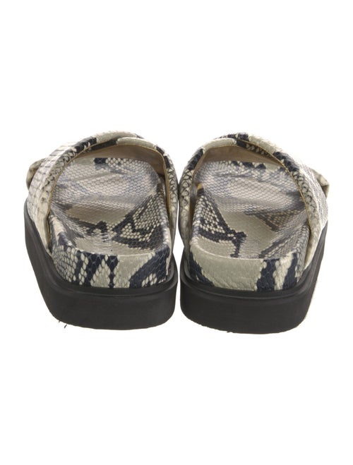 Paris Texas Embossed Leather Animal Print Slides
