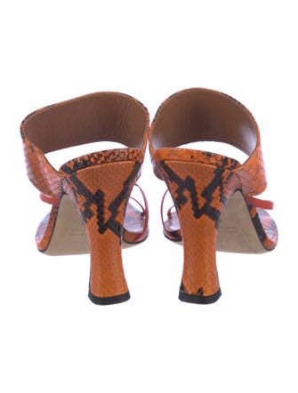 Paris Texas Leather Animal Print Slides