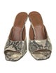 Paris Texas Animal Print Slides
