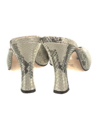 Paris Texas Animal Print Slides