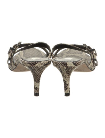 Paris Texas Leather Animal Print Slides