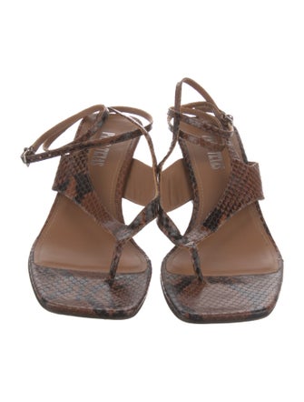 Paris Texas Snakeskin Animal Print T-Strap Sandals