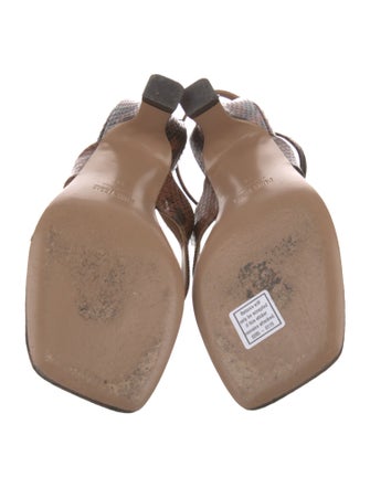 Paris Texas Snakeskin Animal Print T-Strap Sandals