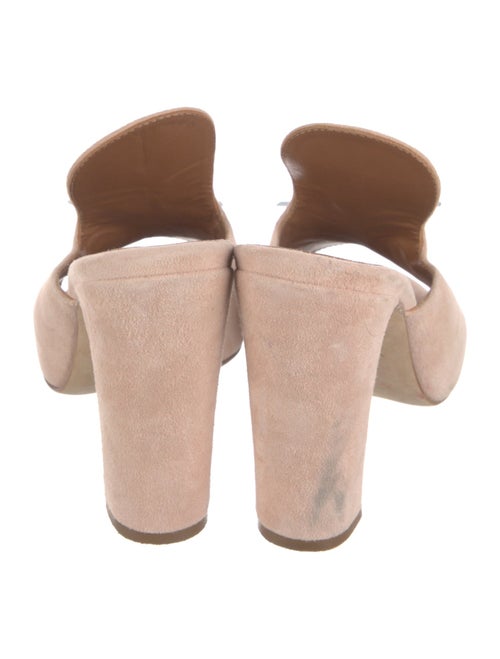 Paris Texas Suede Slides