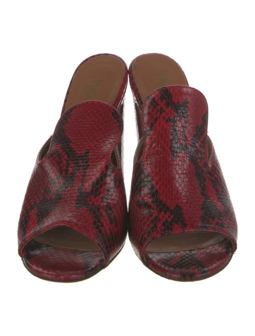 Paris Texas Leather Animal Print Slides