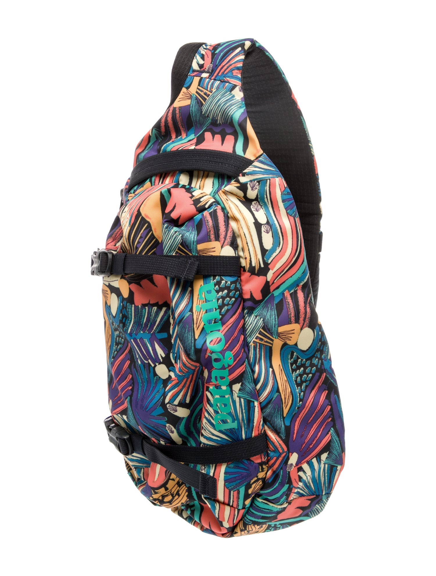 Patagonia Canvas Backpack