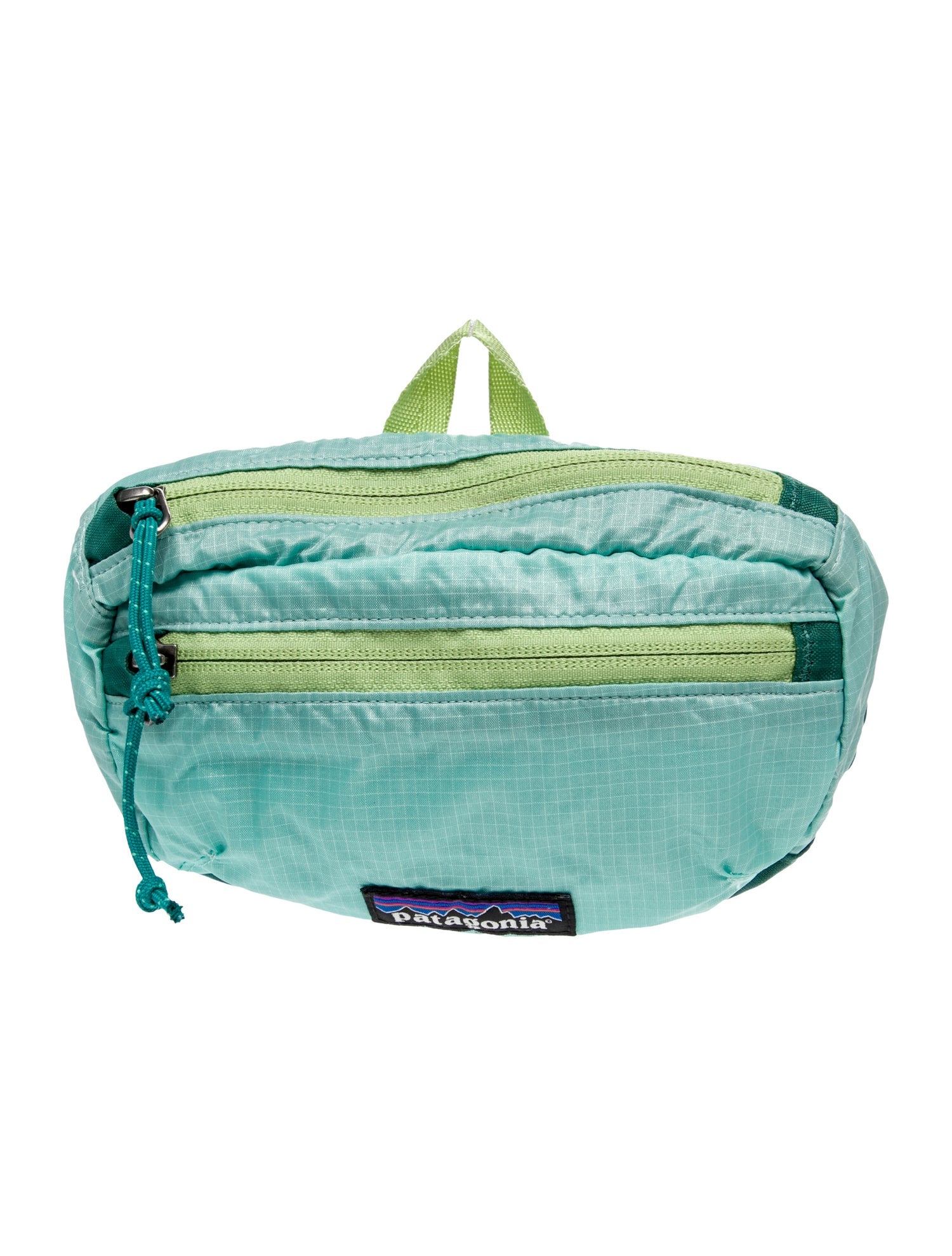 Patagonia Nylon Belt Bag