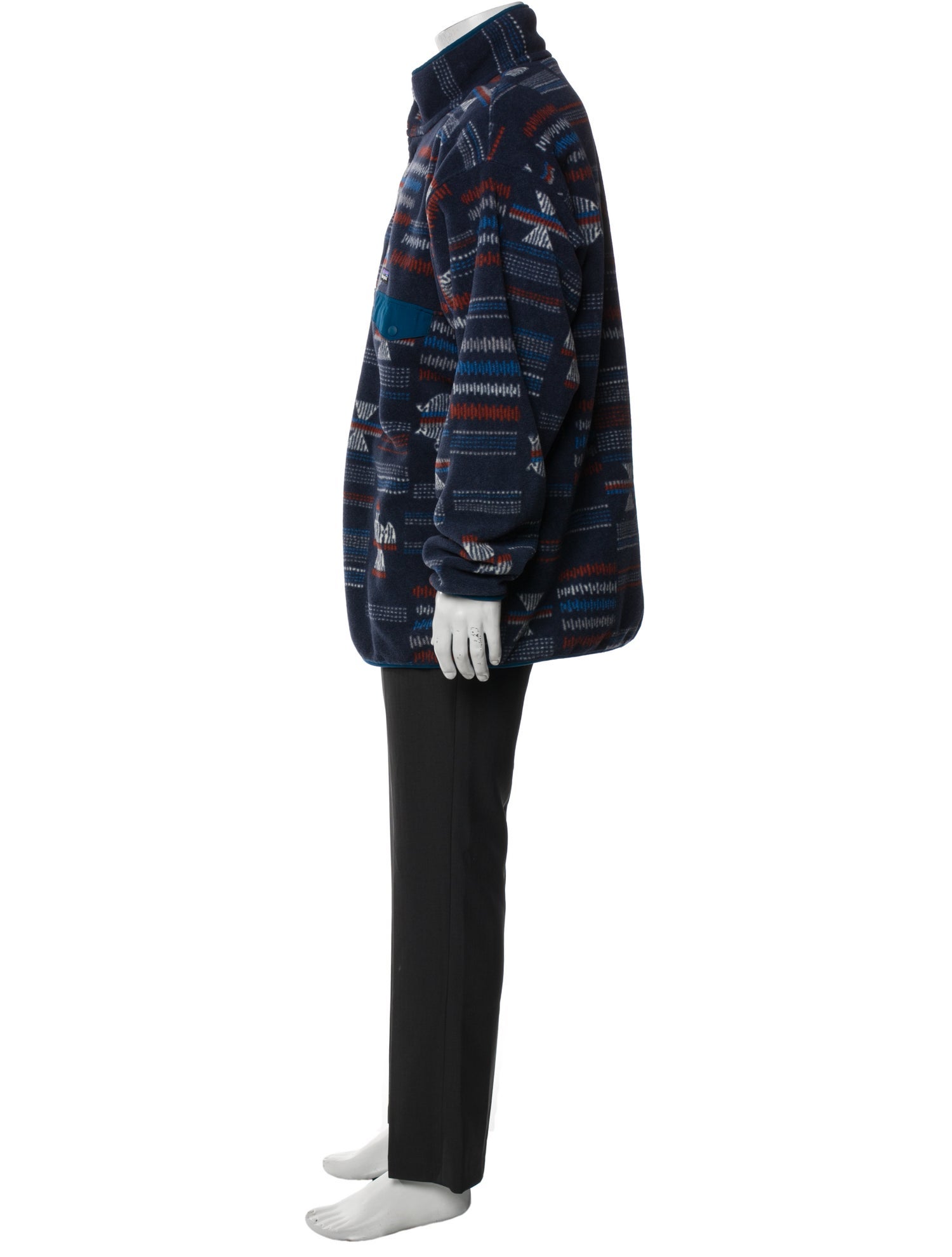 Patagonia Printed Parka