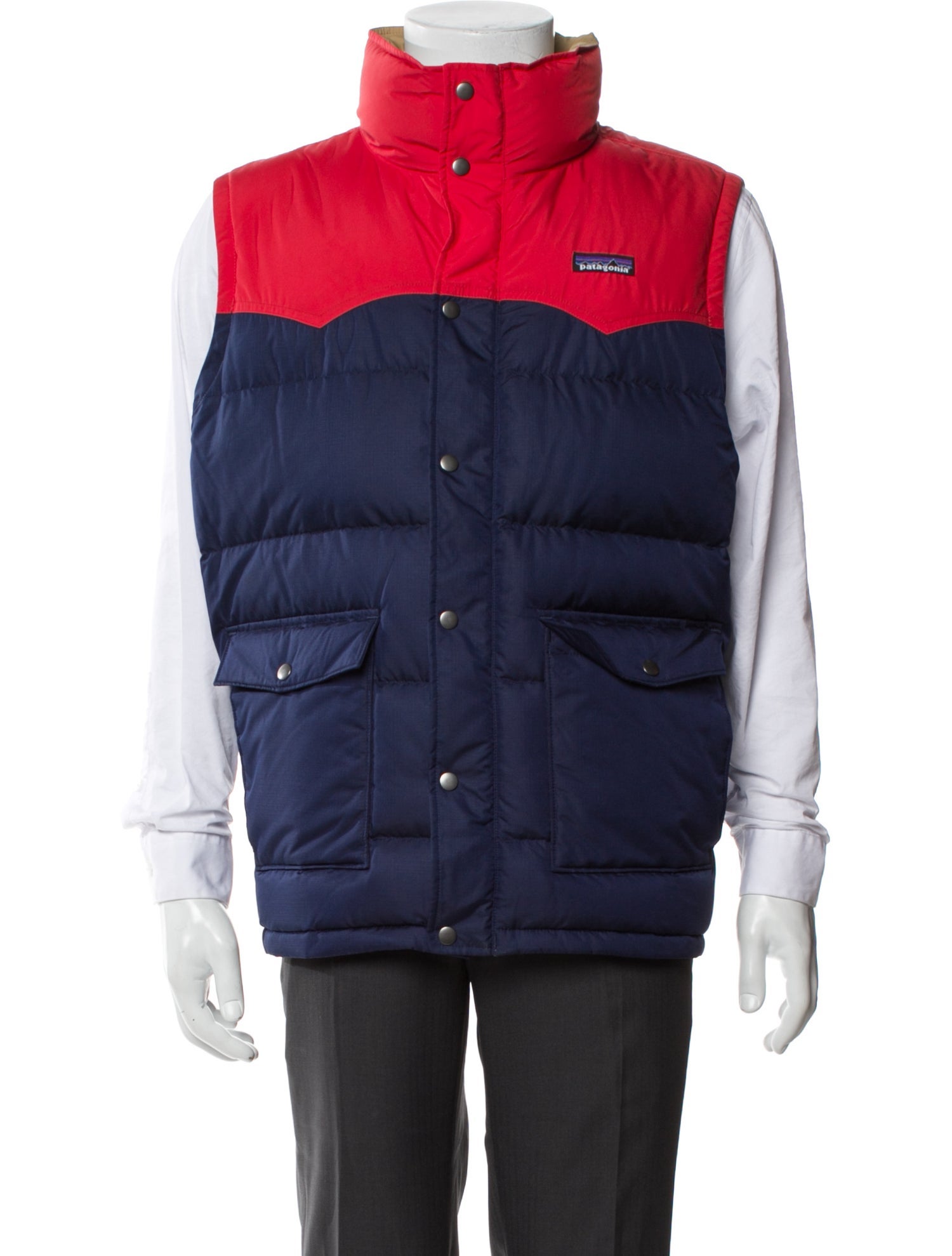 Patagonia Colorblock Pattern Vest