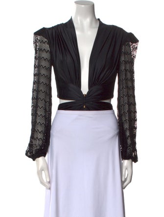 PatBO V-Neck Long Sleeve Crop Top